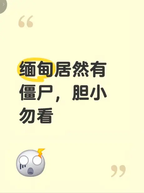《缅甸僵尸出土事件》高清无删减完整版在线观看-缅北僵尸出土真相揭秘-全程录像免费播放