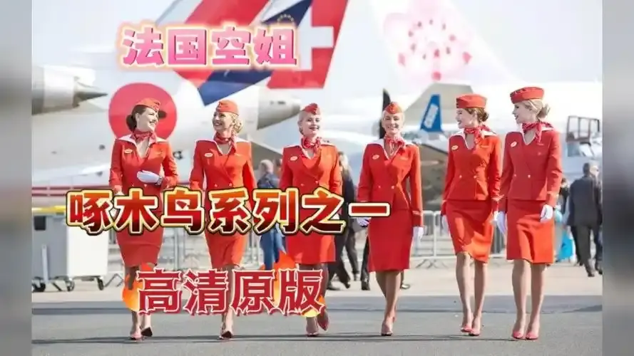 《法国空姐4》资源下载-法国空姐4免费完整版超高清在线观看-法版空姐2019全集无卡顿HD高清