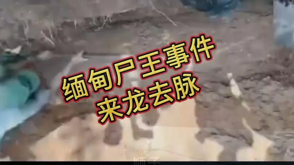 《缅甸僵尸出土事件视频》完整版资源下载 - 免费在线观看未删减高清录像 - 诡异真相解密全程记录